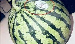 台州温岭网红吃瓜,揭秘台州美食新潮流