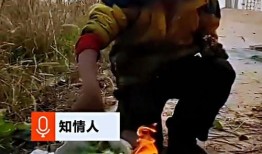 桥洞吃瓜的视频,揭秘网络热传视频背后的故事