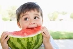 都在哪里吃瓜的,揭秘“都在哪里吃瓜”现象背后的网络文化现象