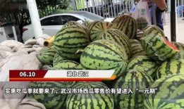 武汉吃瓜大全,吃瓜大全里的风味盛宴