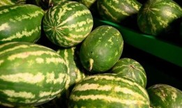 涞水直播吃瓜事件,揭秘网络直播背后的争议与反思