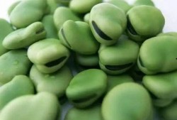 闷豆吃瓜,揭秘娱乐圈背后的秘密与八卦