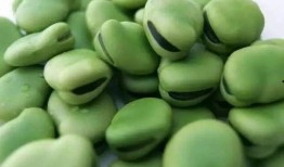 闷豆吃瓜,揭秘娱乐圈背后的秘密与八卦