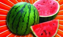 接着吃瓜的危害,揭秘网络舆论背后的健康隐患