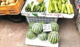 吃瓜20元,揭秘吃瓜背后的20元真相