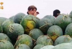 吃瓜现场武汉cds,吃瓜群众围观，揭秘幕后风云