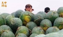 吃瓜现场武汉cds,吃瓜群众围观，揭秘幕后风云