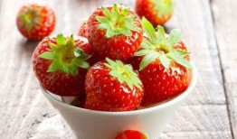 草莓姐姐吃瓜,草莓姐姐的瓜田奇遇记