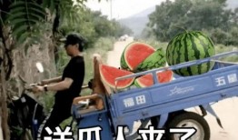 吃瓜也不忘文案,吃瓜群众也能轻松掌握的文案秘诀