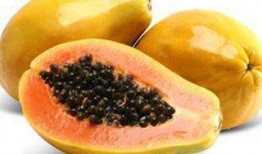 吃瓜有股味,探寻瓜果的独特风味之谜