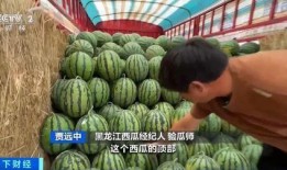 紫薇吃瓜吗,娱乐圈的吃瓜达人，揭秘明星幕后故事