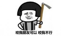 会吃瓜的蚊子,揭秘夏日里的神秘小生灵