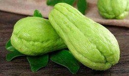 闻太师吃瓜,揭秘宫廷中的闲言碎语