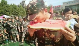 军人吃瓜群众吃瓜视频大全,揭秘吃瓜视频背后的趣味与思考