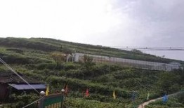 成县吃瓜事件视频,一场网络舆论的风暴与反思