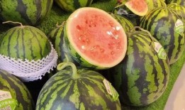 吃瓜的男的,吃瓜男子的趣味观察日记