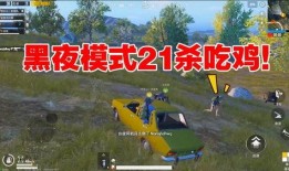 吃鸡视频瓜,揭秘热门游戏背后的精彩故事