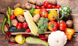 吃瓜群号大全,畅游网络世界的秘密花园