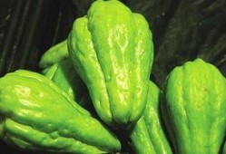 意外获得吃瓜系统,我的生活从此“瓜”意盎然