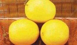 减肥期间吃伊丽莎白瓜,清爽低卡，轻松享瘦新选择