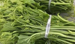 胡子 瓜怎么吃,解锁美味新体验