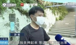 吃瓜网友小赵,揭秘娱乐圈那些不为人知的幕后故事
