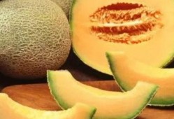 寒湿吃哈密瓜,哈密瓜的养生之道