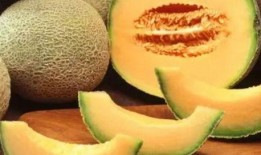 寒湿吃哈密瓜,哈密瓜的养生之道