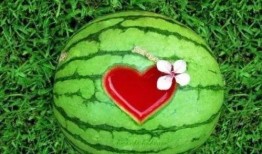 惬意吃瓜完结解说