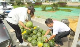 吃瓜20元,揭秘吃瓜背后的20元真相