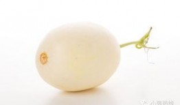 蜜瓜长芽可以吃吗,揭秘安全食用指南