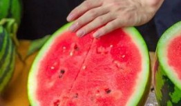 吃瓜搞笑学校,校园里的欢乐喜剧场