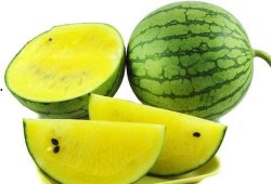 瓜州特色免费吃瓜买特产,免费吃瓜盛宴，畅享特色特产之旅