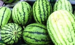 意大利围观吃瓜视频,围观吃瓜成风，揭秘意大利的独特社交现象