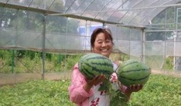 大丰吃瓜,揭秘当地特色美食背后的故事